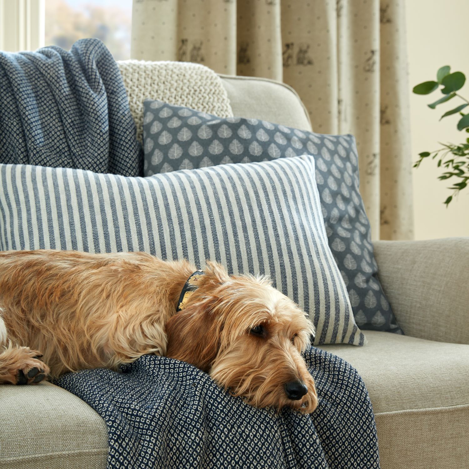 low-emily-bond-living-room-10-1710468028.jpg