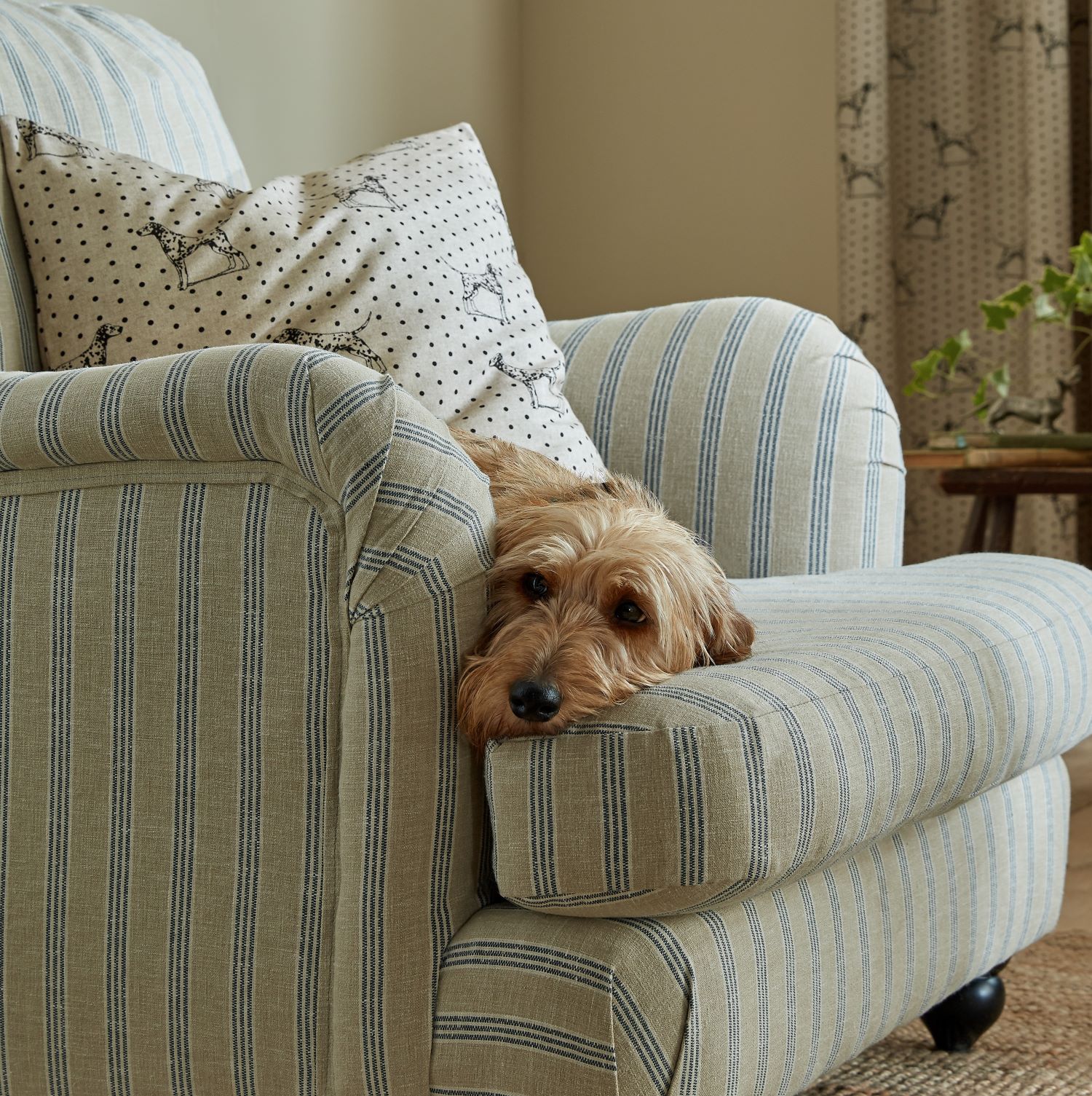 lowemily-bond-living-room-13-1710467999.jpg